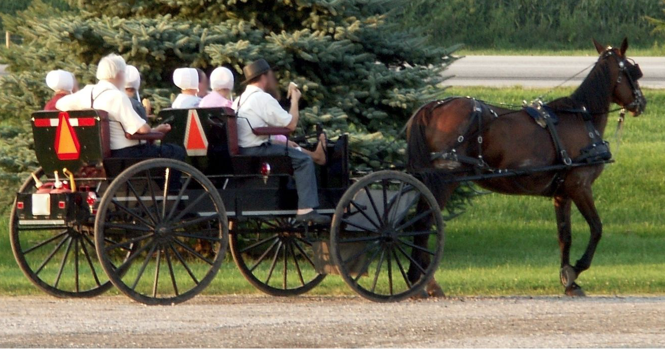 Amish People in der traditionellen Kutsche - wikimedia