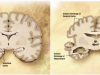 Alzheimer’s_disease_brain_comparison CC BY-SA wikipedia