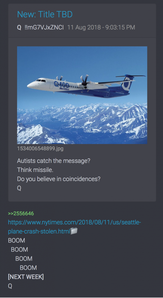 Flugzeug Q400 angeblich abgeschossen