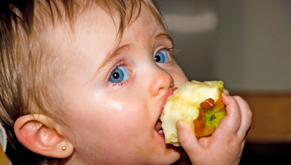 Foto: Alexandre Normand Baby eating Apple