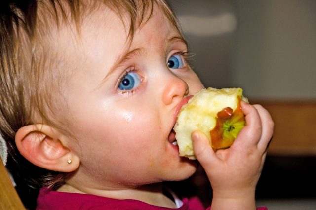 Foto: Alexandre Normand Baby eating Apple